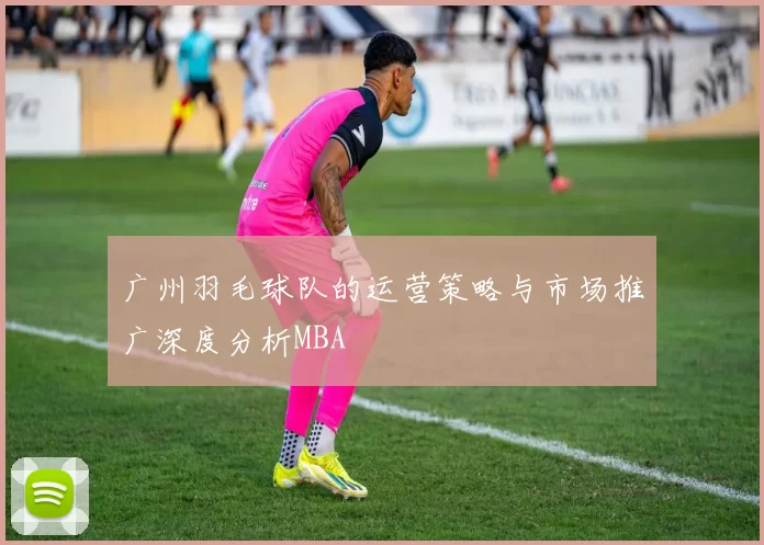 广州羽毛球队的运营策略与市场推广深度分析MBA