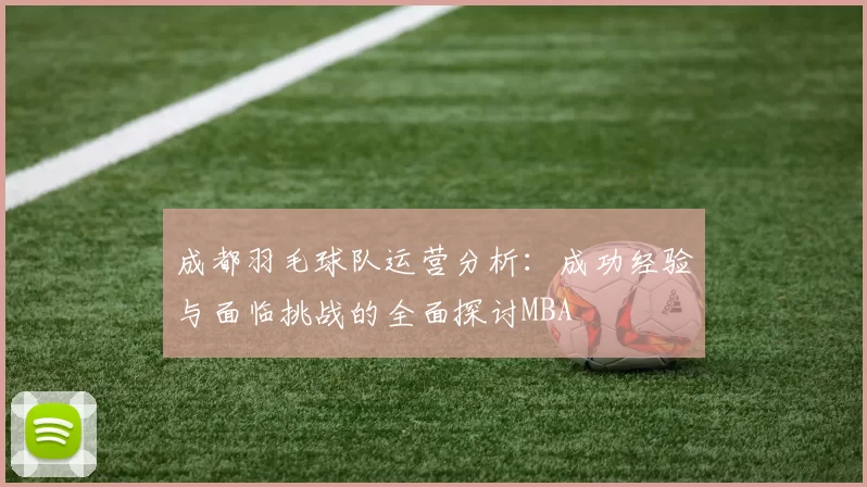 成都羽毛球队运营分析：成功经验与面临挑战的全面探讨MBA